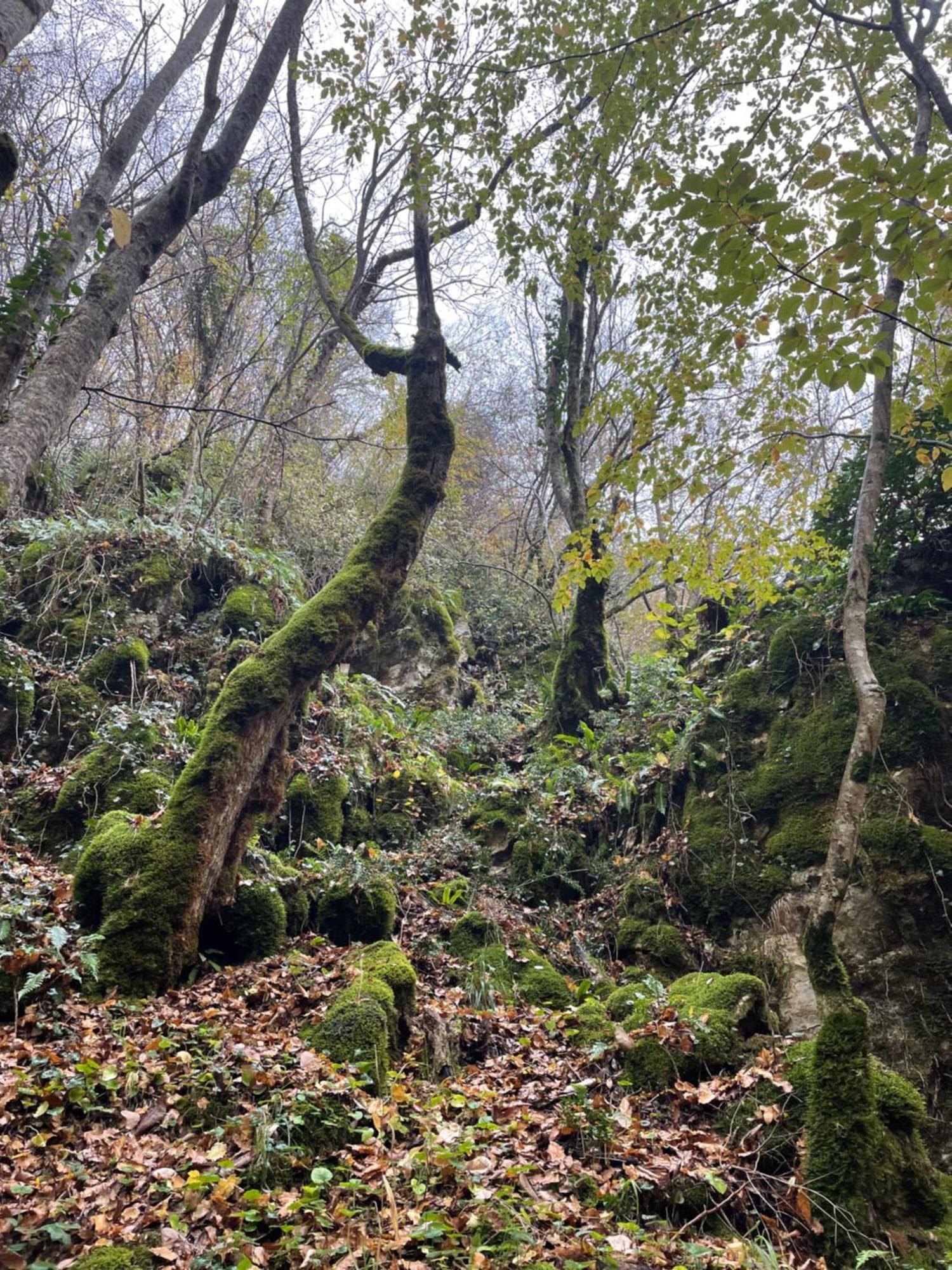 Mooie Bungalow In De Prachtige Natuur Hastiere-par-dela Εξωτερικό φωτογραφία