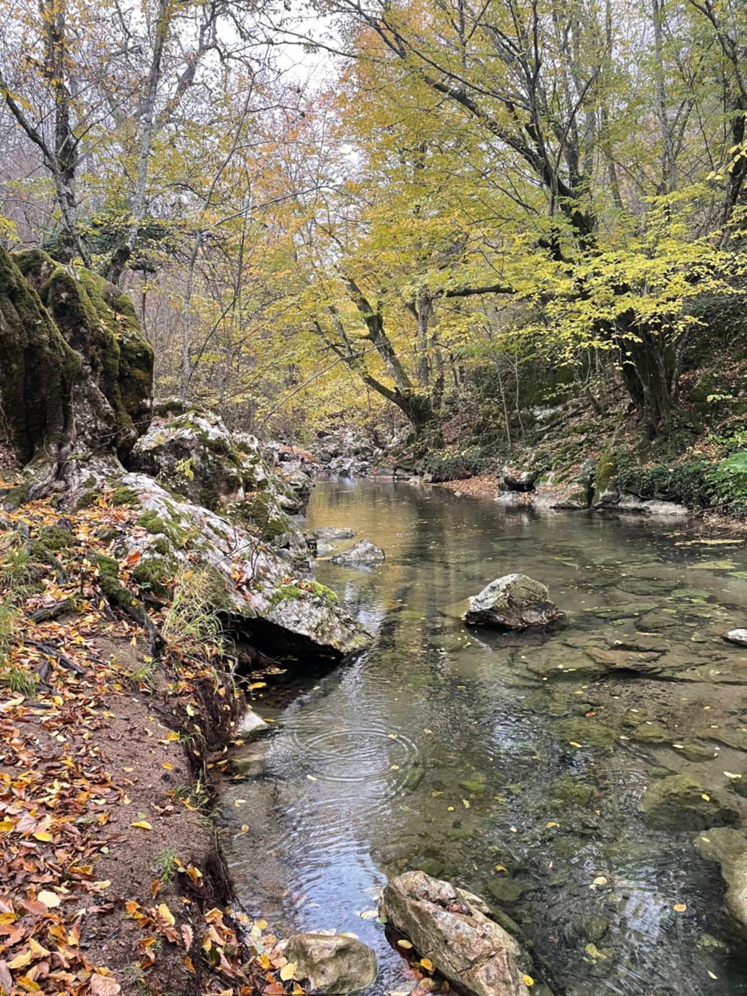 Mooie Bungalow In De Prachtige Natuur Hastiere-par-dela Εξωτερικό φωτογραφία